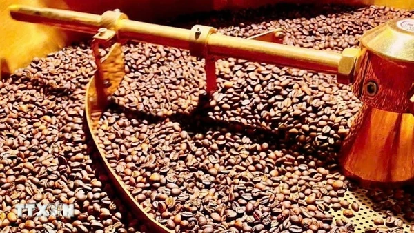 Ảnh minh họa. (Nguồn: TTXVN)