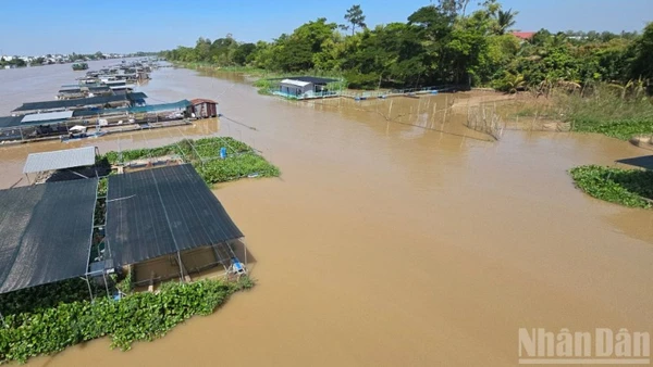 Một góc sông nước xã Cù Lao Giêng.