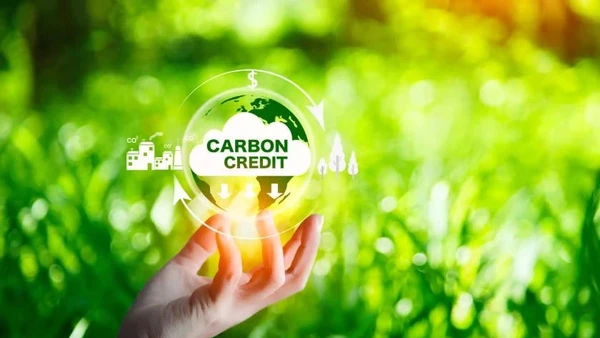 Ảnh minh họa. (Nguồn: Insurance Business Mag)