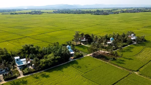 Những ngôi nhà an toàn được Ngân hàng Phát triển Châu Á (ADB) và Chính phủ tài trợ được xây dựng lại trong chiến dịch Quang Trung tại khu phố Đông Thạnh, phường Đông Hòa tỉnh Đắk Lắk.