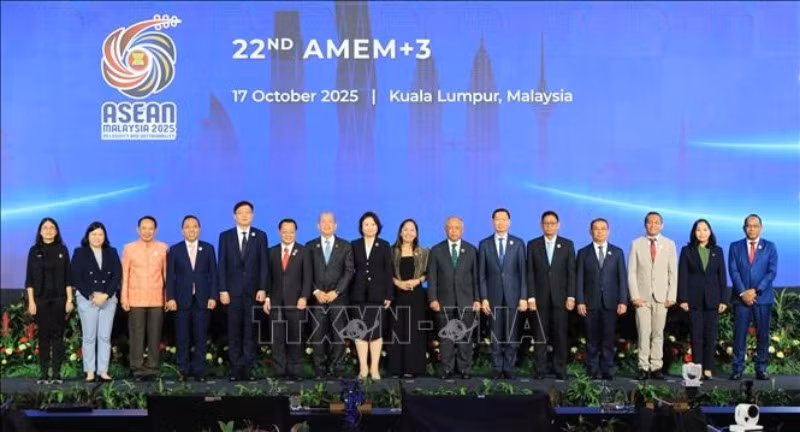 Các đại biểu tại Hội nghị Bộ trưởng Năng lượng ASEAN+3. (Ảnh: TTXVN)