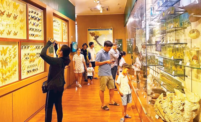 Khách tham quan Bảo tàng Thiên nhiên Việt Nam (Hà Nội).