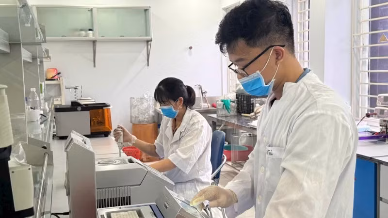 Hoạt động nghiên cứu khoa học tại Viện Cây lương thực và Cây thực phẩm.