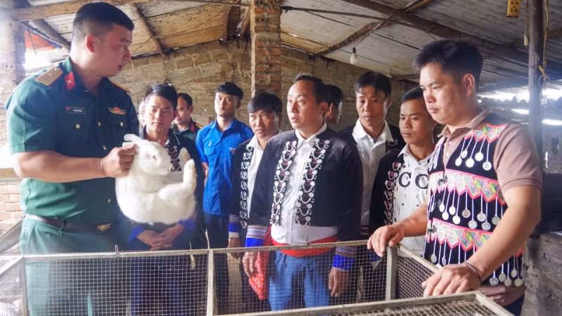 Thiếu tá Nguyễn Mạnh Hùng, Đội trưởng Sản xuất và Xây dựng cơ sở chính trị số 3 hướng dẫn người dân bản Sín Chải, xã Dào San kỹ thuật nuôi thỏ.