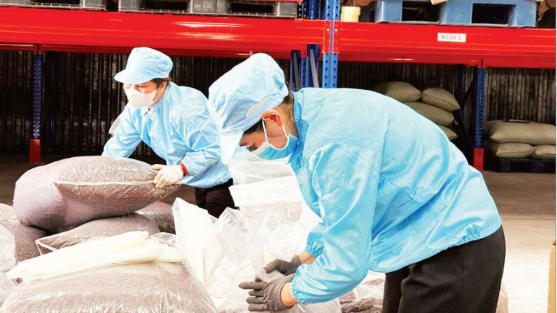 Đóng gói vỏ cà-phê đặc sản (trà cascara) xuất khẩu tại Công ty Simexco DakLak. (Ảnh: MINH ANH)