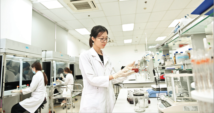 Nghiên cứu các chủng vi sinh vật có hoạt tính sinh học cao phục vụ sản xuất sản phẩm cho nông nghiệp trong phòng thí nghiệm. (Ảnh THẾ ĐẠI)