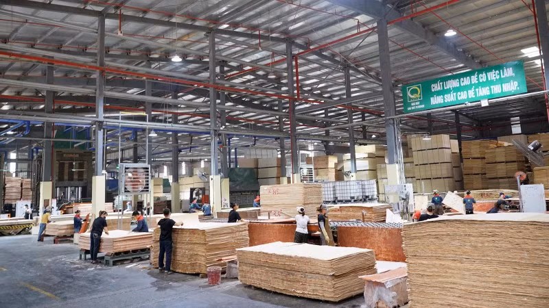 Nhà máy sản xuất gỗ xuất khẩu của Công ty trách nhiệm hữu hạn Sao Việt tại Khu công nghiệp Long Bình An, tỉnh Tuyên Quang.