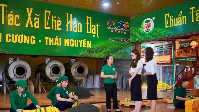 Người lao động Hợp tác xã chè Hảo Đạt (xã Tân Cương, tỉnh Thái Nguyên) đóng gói sản phẩm chè.