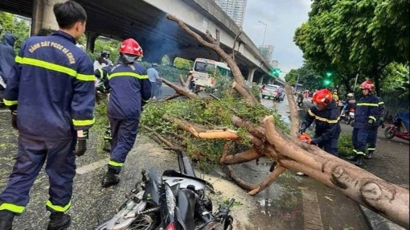 Lực lượng chức năng tham gia cứu hộ trường hợp cây đổ đè lên phương tiện của người dân. (Ảnh: Công an thành phố Hà Nội)