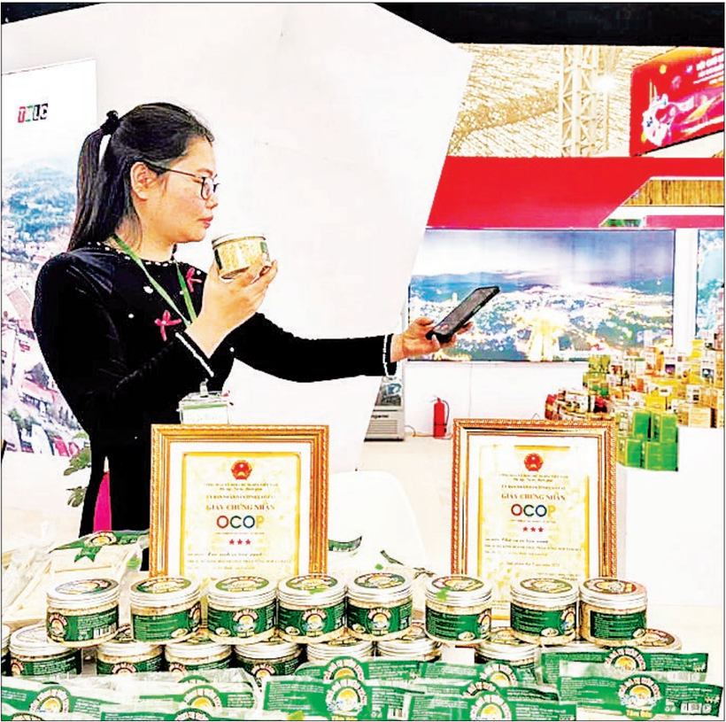 Sản phẩm OCOP chế biến từ cá hồ Thác Bà được giới thiệu tại hội chợ thương mại. (Ảnh MINH SƠN)