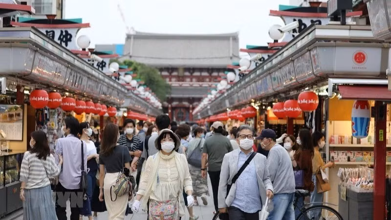 Ảnh minh họa. (Nguồn: THX/TTXVN)