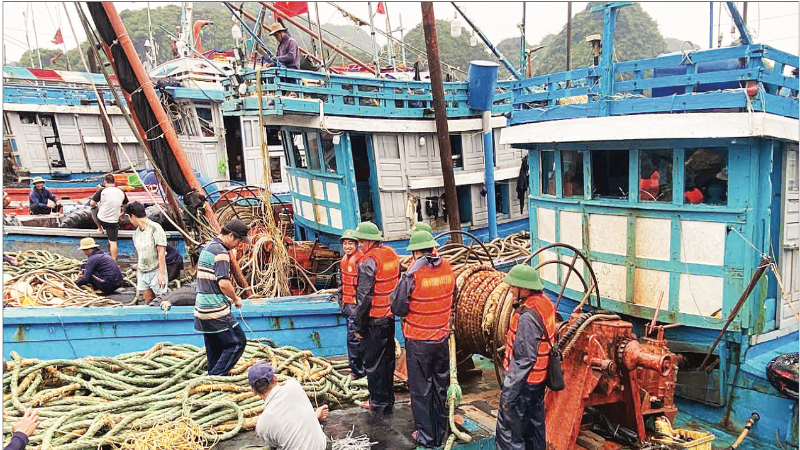 Lực lượng Bộ đội Biên phòng thành phố Hải Phòng hướng dẫn ngư dân chằng buộc tàu thuyền tại nơi tránh trú bão số 3. (Ảnh: HỒNG VINH)