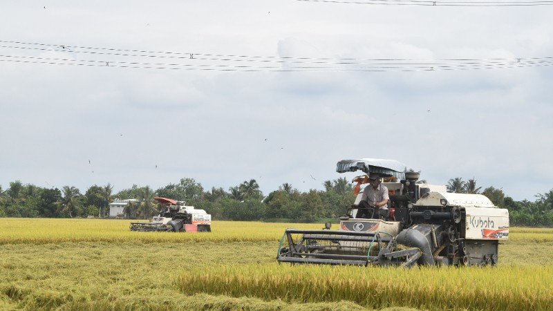 Ứng dụng cơ giới hóa vào thu hoạch lúa tại tỉnh Đồng Tháp.