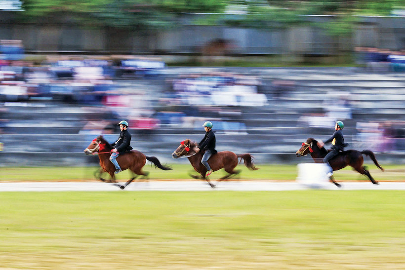 Rộn vó ngựa trong sắc xuân Bắc Hà