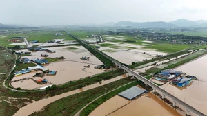 [Video] Thảm họa thời tiết nghiêm trọng báo hiệu thách thức mới với Hàn Quốc