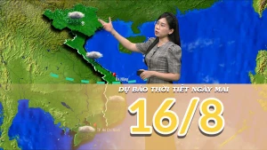 [Video] Dự báo thời tiết đêm nay và ngày mai 16/8/2025: Mưa dông tại cả 3 miền