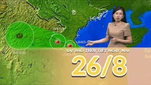 [Video] Dự báo thời tiết đêm nay và ngày mai 26/8/2025: Bão số 5 tiếp tục gây mưa diện rộng