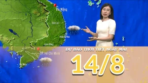 [Video] Dự báo thời tiết đêm nay và ngày mai 14/8/2025: Nắng nóng kết thúc tại Bắc Bộ