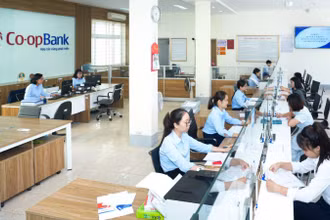 Giao dịch khách hàng tại Co-opBank chi nhánh Ninh Bình.