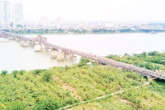 Sông Hồng chảy qua thành phố Hà Nội. (Ảnh: THẾ ĐẠI)