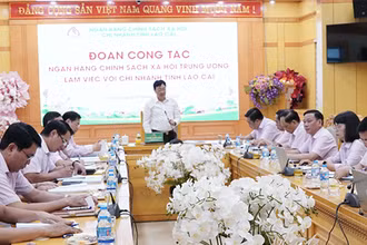 Quang cảnh buổi làm việc tại Lào Cai.