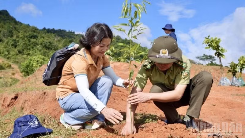 Vietnam Airlines đã phối hợp các đối tác triển khai chương trình “Góp lá vá rừng”, phấn đấu trồng mới và phục hồi gần 100ha rừng.