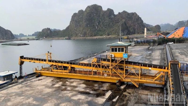 Tập đoàn Công nghiệp Than-Khoáng sản Việt Nam (TKV) yêu cầu các đơn vị, công ty khai thác than thành viên trên địa bàn tỉnh Quảng Ninh triển khai các biện pháp khẩn cấp ứng phó bão số 3 (Wipha).
