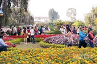 Du khách trải nghiệm vườn hoa trên địa bàn phường Lâm Viên, Đà Lạt.