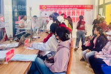 Nhờ có sinh viên hỗ trợ, việc giải quyết hành chính tại Trà Tập trở nên nhanh chóng hơn.