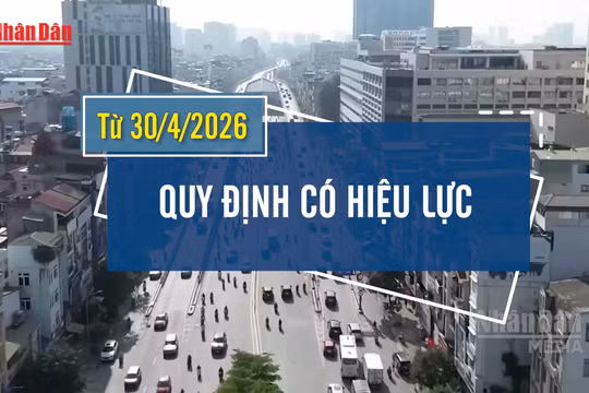 [Video] Xe bán tải, xe hợp đồng dưới 29 chỗ ngồi được lưu thông không hạn chế trong nội đô Hà Nội 