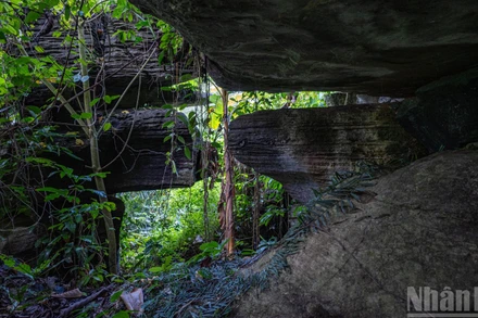 [Ảnh] Hang Dơi Tiên An: Vẻ đẹp bí ẩn của tạo hóa