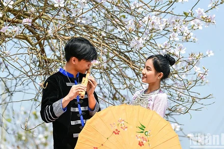 Ảnh minh họa: THÀNH ĐẠT 