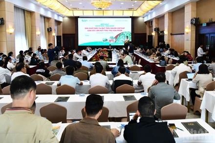 Quang cảnh diễn đàn “Sản xuất mắc-ca đạt tiêu chuẩn VietGAP gắn với liên kết tiêu thụ sản phẩm”