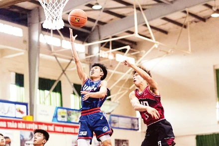 Giải Bóng rổ sinh viên toàn quốc (NUC) thu hút đông sinh viên tham gia thi đấu. (Ảnh ĐỨC HIỂN)