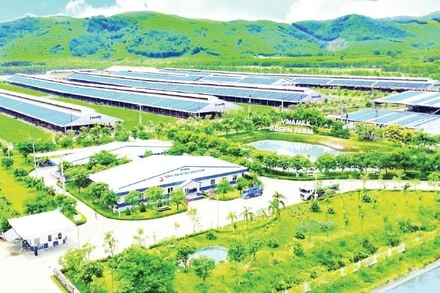 Mô hình trang trại sinh thái “Vinamilk Green Farm” theo định hướng nông nghiệp bền vững, giảm phát thải. (Ảnh: THÁI HÀ)