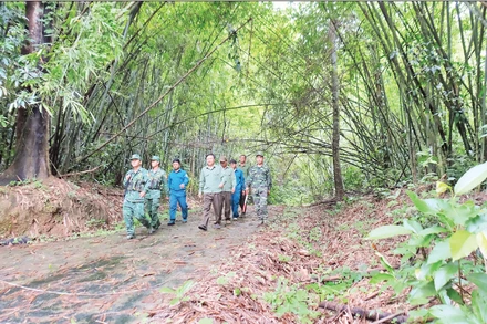 Chiến sĩ Đồn Biên phòng Đắk Ơ và các lực lượng cùng tuần tra bảo vệ đường biên kết hợp bảo vệ rừng Đắk Mai.