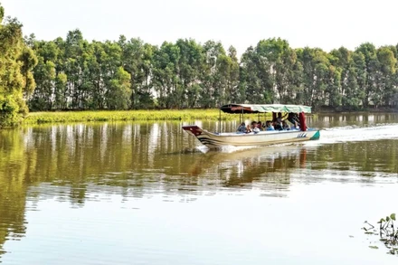 Du khách tham quan, khám phá Vườn quốc gia Tràm Chim. (Ảnh: HỮU TÀI)