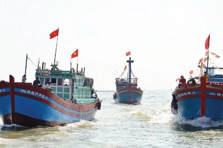 Đội tàu cá của ngư dân Quảng Ngãi. (Ảnh: TRẦN MAI)