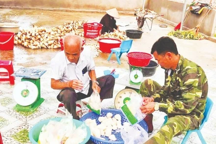 Sản phẩm măng lục trúc lâm sinh của hợp tác xã Ngọc Châu, xã Ngọc Thiện, tỉnh Bắc Ninh giúp người dân thoát nghèo. 