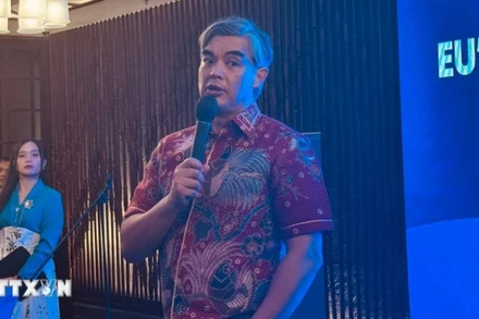 Đại sứ EU tại ASEAN Sujiro Seam. (Ảnh: Đỗ Quyên/TTXVN)