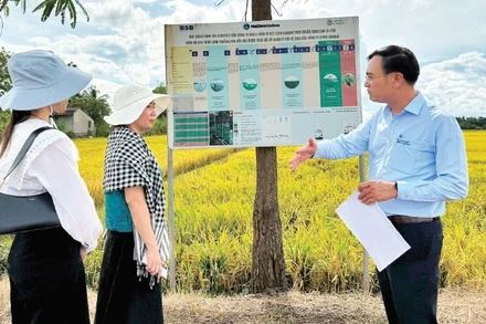 Đại diện Trung tâm Khuyến nông tỉnh Đắk Lắk trao đổi về các chương trình canh tác lúa giảm phát thải tại Trại lúa giống Hòa Xuân. (Ảnh MINH ANH)