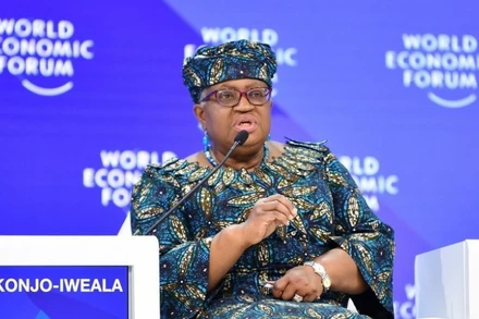 Tổng Giám đốc WTO Ngozi Okonjo-Iweala. (Ảnh: THX/TTXVN)