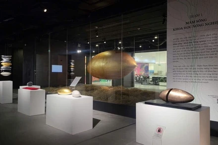 Bộ tác phẩm "Hạt gạo" của cố họa sĩ Lê Thiết Cương trưng bày tại triển lãm TỎA V. 