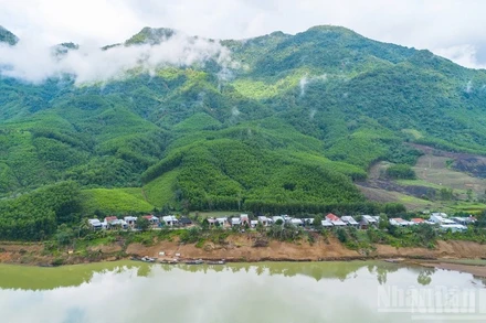 BIODEV2030 từng bước đưa bảo tồn đa dạng sinh học trở thành động lực thúc đẩy chuyển đổi sản xuất trong lâm nghiệp và thủy sản.