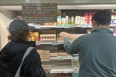 Khách hàng lựa chọn mua trứng trong siêu thị ở Monrovia, Los Angeles (Mỹ) ngày 12/2/2025. (Ảnh minh họa: THX/TTXVN) 