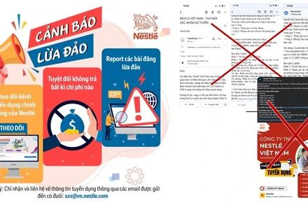 Nestlé Việt Nam cảnh báo tình trạng lừa đảo tuyển dụng mạo danh