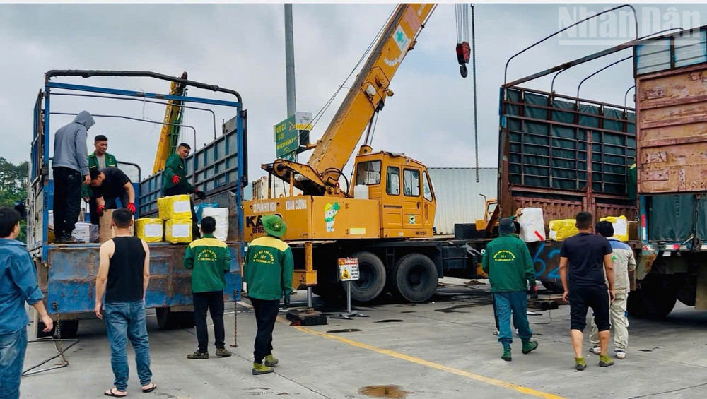 Hàng hóa sang tải tại khu vực bãi Xuân Cương, Cửa khẩu Quốc tế Hữu Nghị, tỉnh Lạng Sơn. ndo_tr_4aa67f170b9582cbdb84.jpg