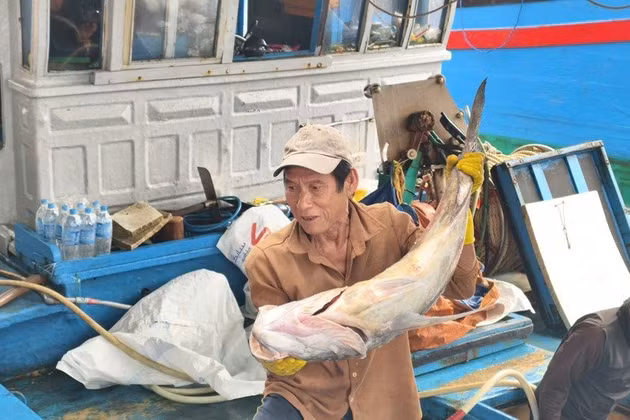Những thay đổi giúp ngư dân đánh bắt hiệu quả hơn. Ảnh: Như Đồng