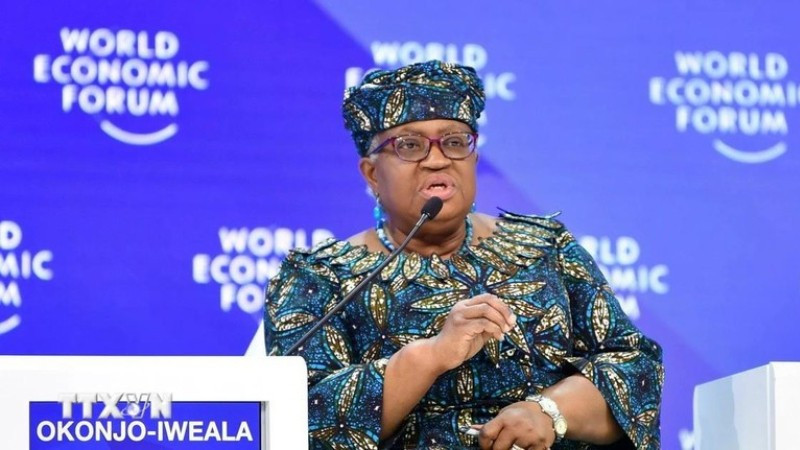 Tổng Giám đốc WTO Ngozi Okonjo-Iweala. (Ảnh: THX/TTXVN)