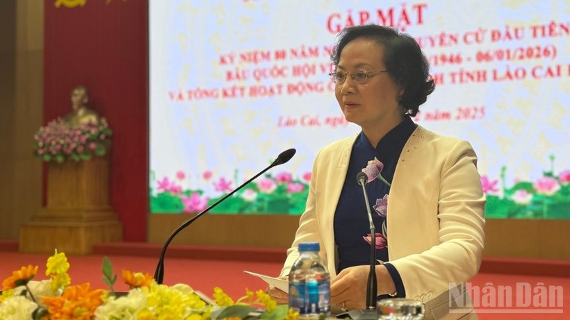 Phó Thủ tướng Phạm Thị Thanh Trà phát biểu tại buổi gặp mặt. (Ảnh: THANH SƠN)